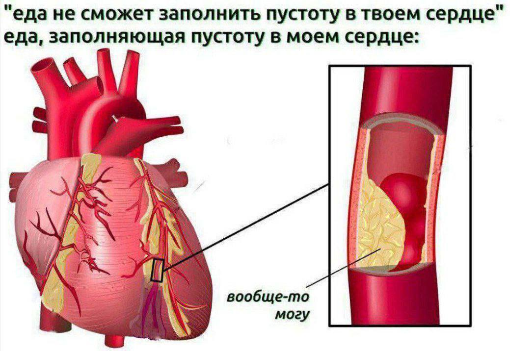 Ожирение: сказ о том, как жир твой иммунитет шатал, а ещё мозг и детей - 6