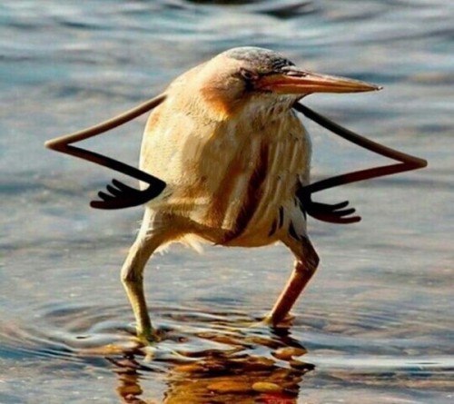 Примерно в такой позе и приходят такие идеи