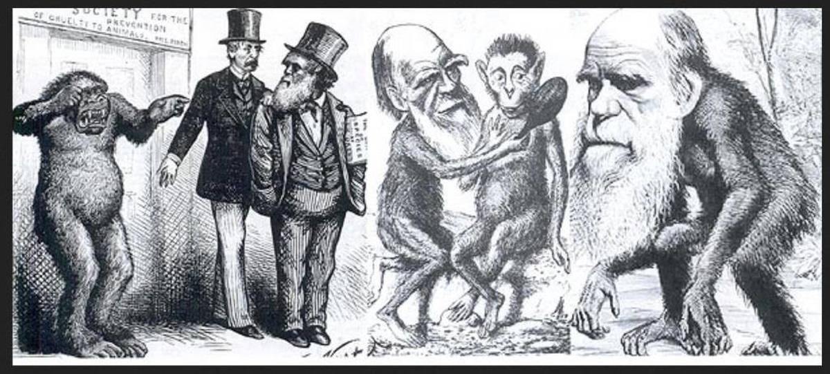 Прадед киберпанка Сэмюэл Батлер: как описать искусственный интеллект и господство машин в викторианскую эпоху? - 3 Прадед киберпанка Сэмюэл Батлер: как описать искусственный интеллект и господство машин в викторианскую эпоху? - 3