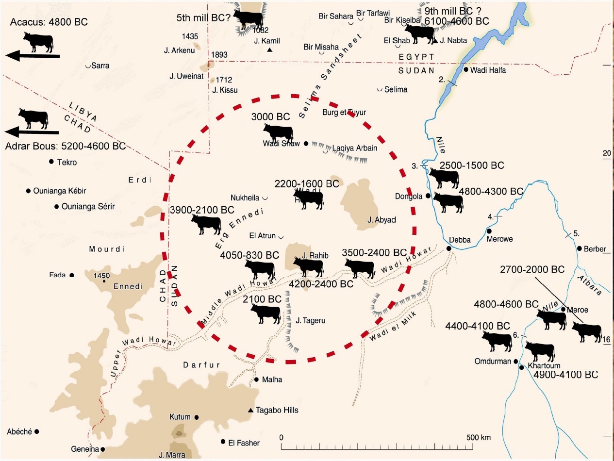 Распространение крупного рогатого скота в Вади Ховаре и соседних регионах.  