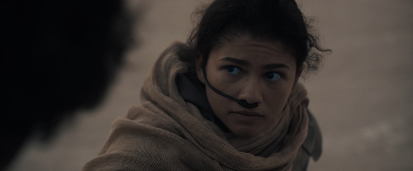 В защиту «Дюны» Вильнева - 35 В ЗАЩИТУ «ДЮНЫ» ВИЛЬНЁВА, изображение №35