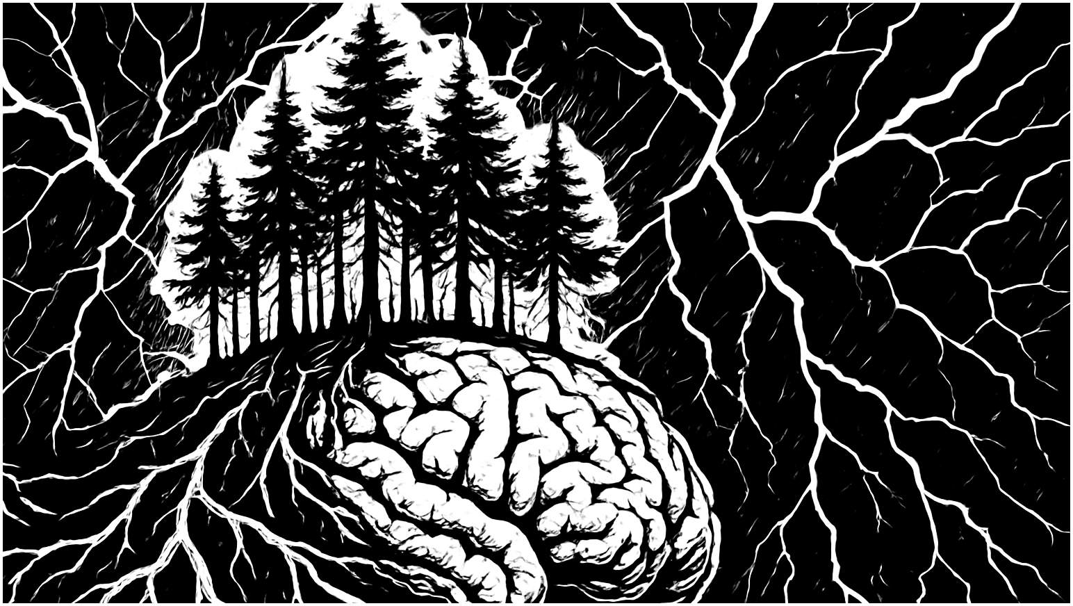 Код леса. Как деревья делятся важной информацией - 2