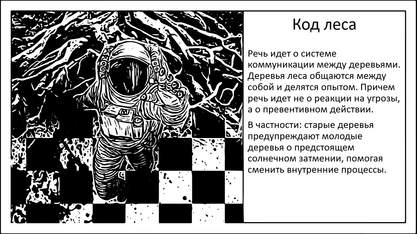 Код леса. Как деревья делятся важной информацией - 1