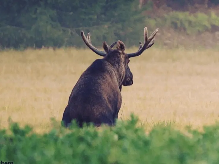 Как мы запускали мониторинг-пилот для Новатэка: испытание холодом, логистикой и бюрократией - 3