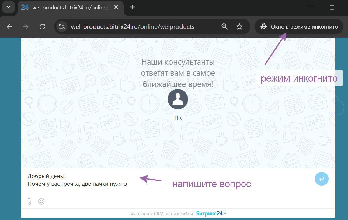 Через некоторое время ОЛ работает - можно писать вопрос. Это "имитация" любых чатов, подключенных к Битрикс24. 