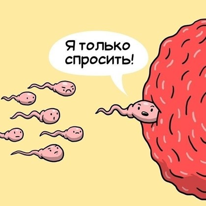 Источник: https://fotostrana.ru/public/post/231949/2663335609