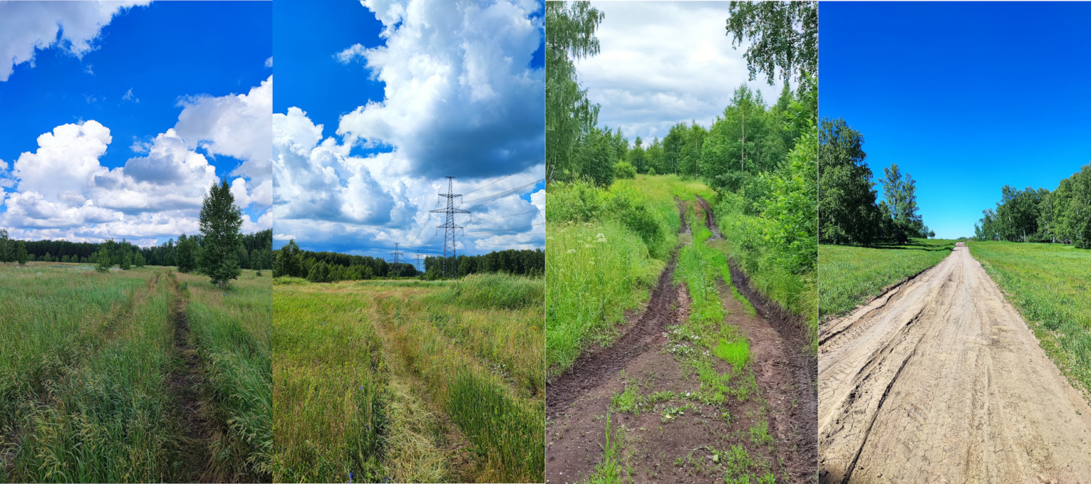 Мои лесные дороги