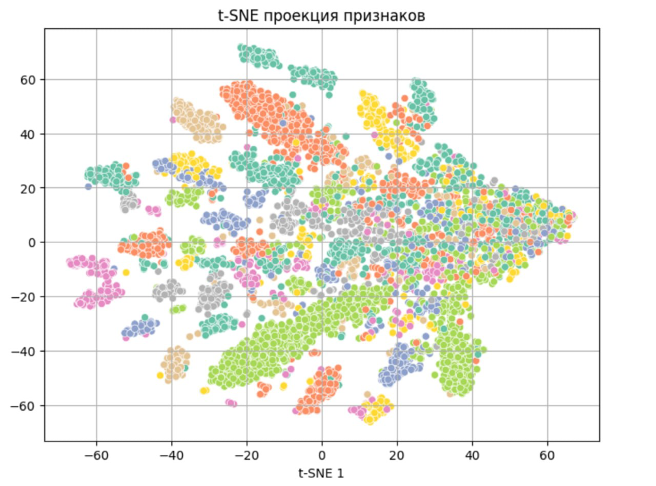 Рис. 10. Визуализация признаков с использованием t-SNE