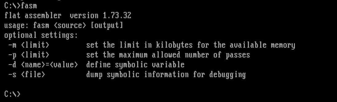 Рис. 7. Fasm успешно запускается