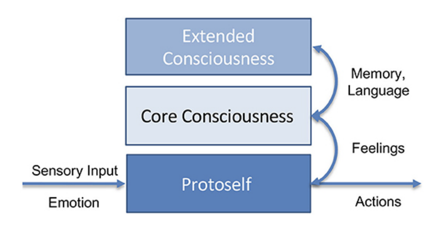 Действительно ли у ИИ-агента есть внутренняя картина мира и представление о себе? - 2 Действительно ли у ИИ-агента есть внутренняя картина мира и представление о себе? - 2
