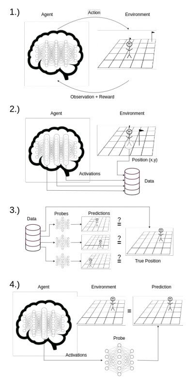 1. Агент обучается с помощью обучения с подкреплением (RL); 2. Сохраняются данные о позициях агента и активациях нейросети; 3. На основе активаций каждого слоя обучаются классификаторы (probes), предсказывающие истинную позицию; 4. Если хотя бы одна модель предсказывает позицию лучше случайного угадывания, значит, активации содержат нужную информацию — агент выработал модель мира