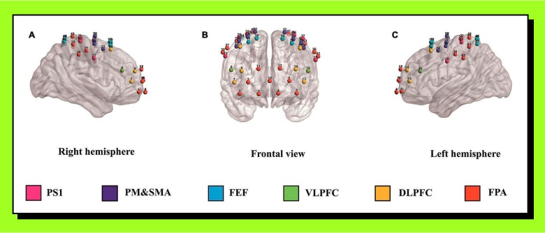 Эффект душа: почему отдых и переключение на хобби помогают принимать крутые решения - 4