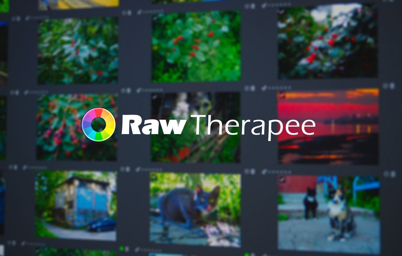 Введение в RawTherapee - 1