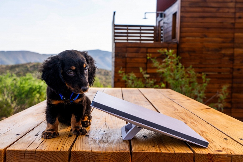 Илон Маск обрушил цену Starlink Mini на 200 долларов