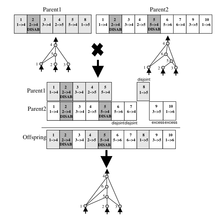 NEAT. Основы - 4 NEAT. Основы - 4
