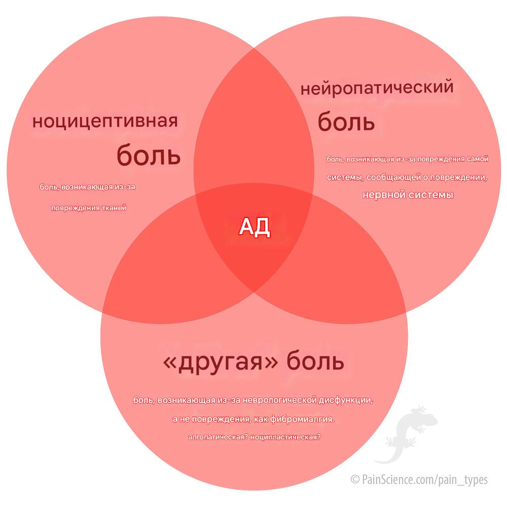Что делать, если болит поясница? Первая часть, введение - 7
