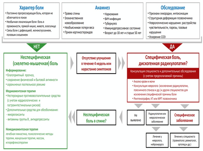 Алгоритм ведения пациента с болью в спине