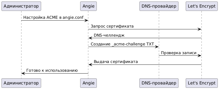 Автоматический HTTPS для ленивых: ACME + Angie один раз и навсегда - 4
