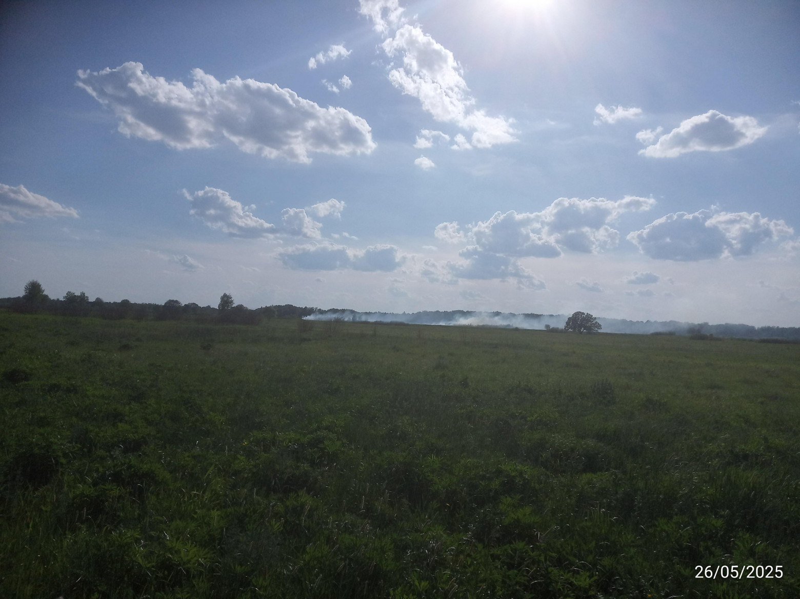 Наблюдение с дороги, ~500м до термоточки.