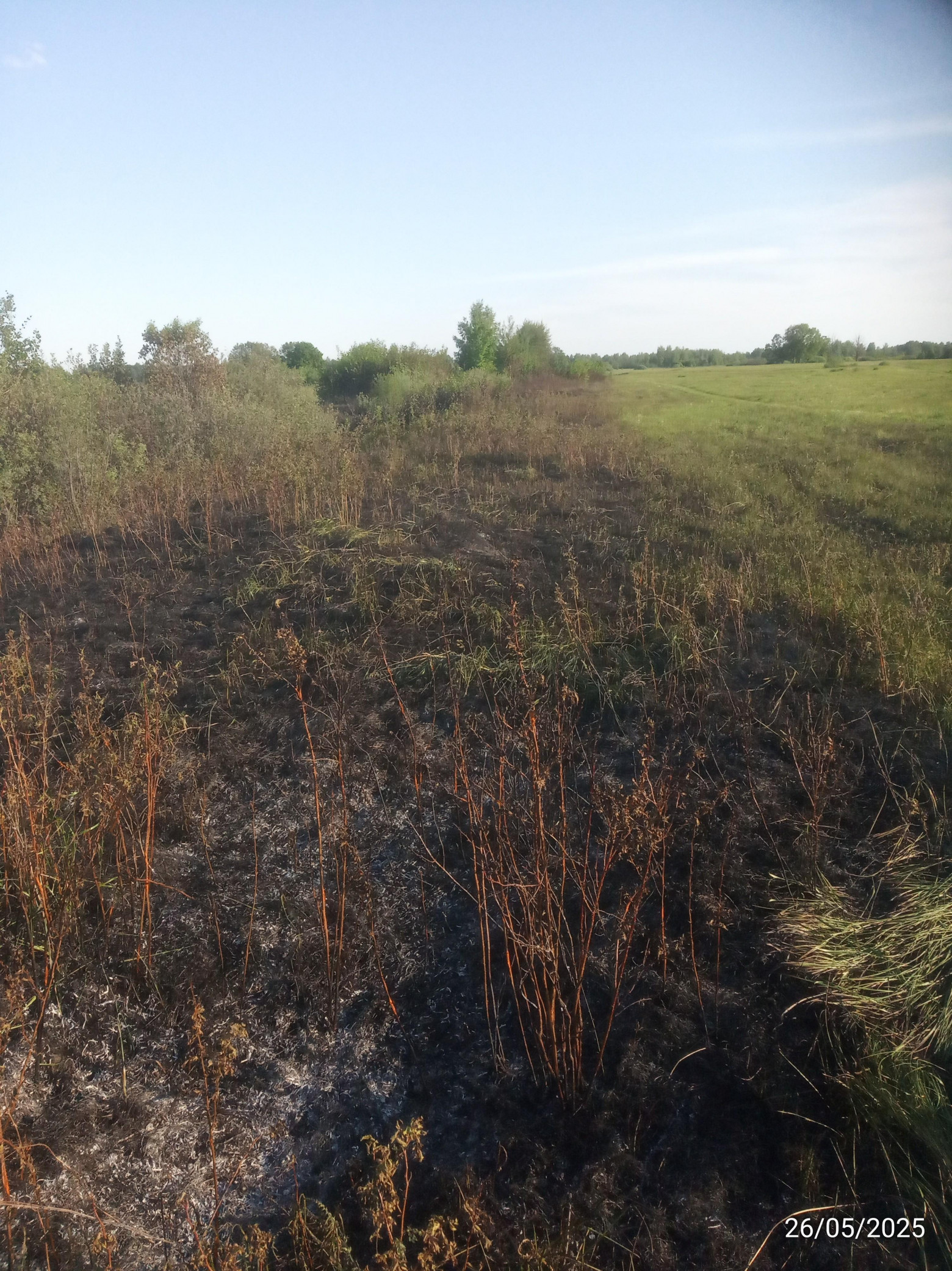 Огонь локализован, правая полоса. За кустами слева ~ такая же полоса.