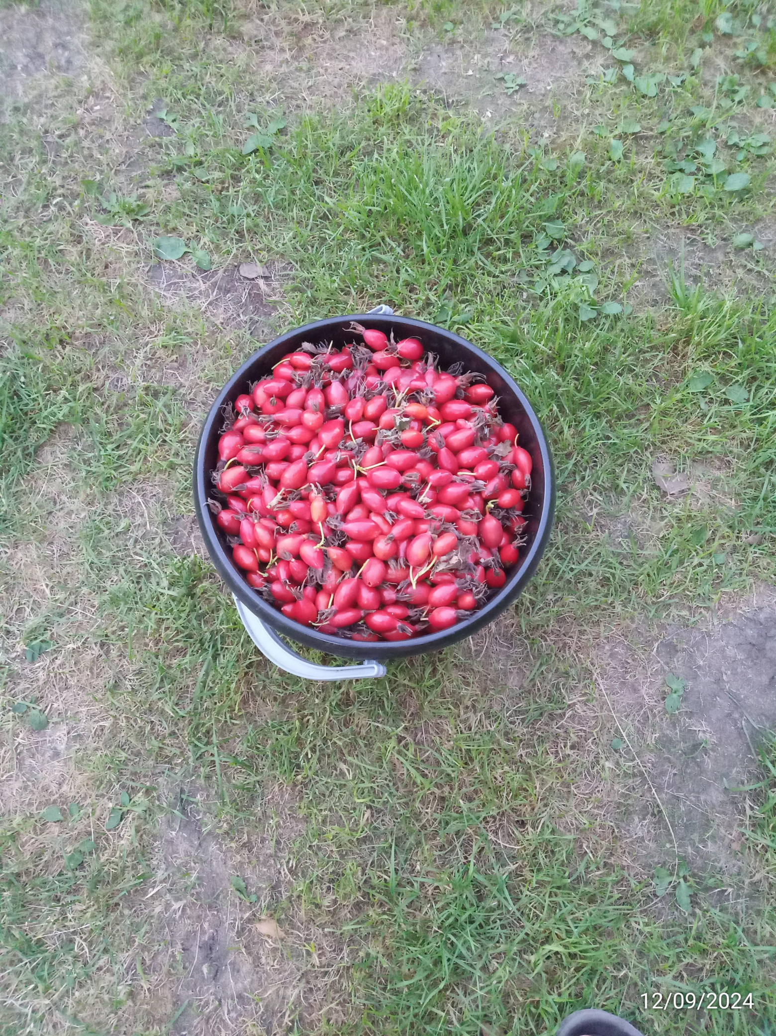 Как я в одиночку в кроссовках и шортах смог остановить распространение огня в заповеднике - 1