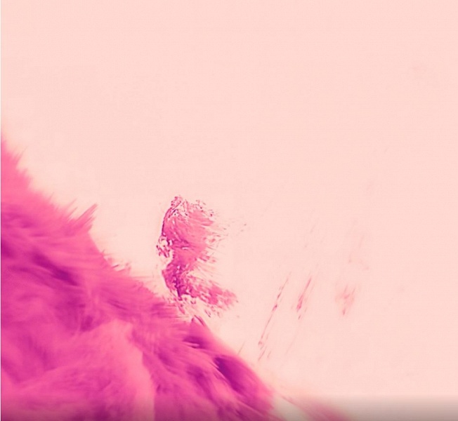 &laquo;Мы наконец-то видим Солнце таким, каким его всегда мечтали увидеть&raquo;: учёные впервые показали, как солнечная плазма закручивается в спираль, распадается, падает обратно на звезду и снова взлетает