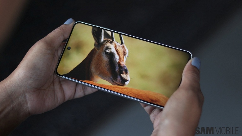 Разрушительное обновление: появление зеленой линии на экране смартфона Samsung впервые удалось заснять на видео