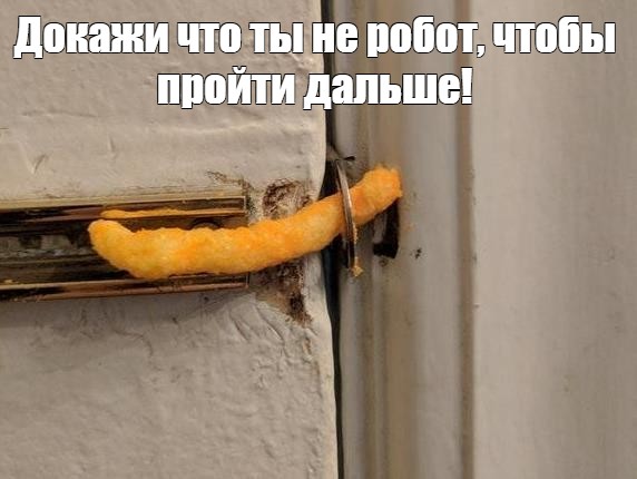 Как работает решатель капчи на базе ИИ: от OCR до глубокого обучения - 1