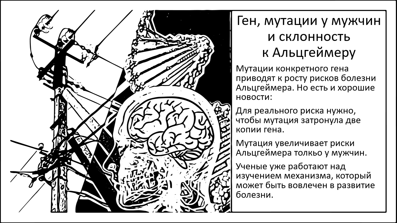 У мужчин в два раза выше риски развития Альцгеймера, если в ДНК есть два мутированных варианта этого гена - 1