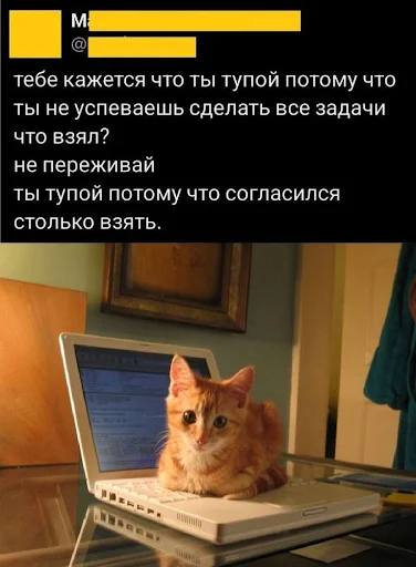 Как выжить в хаосе и стать продуктивным: тайм-менеджмент от топ-экспертов Мозг, Исследования, Успех, Работоспособность, Тайм-менеджмент, Время, ЗОЖ, Научпоп, Здоровье, Саморазвитие, Мотивация, Обмен опытом, Опыт, Биохакинг, Кофеин, Длиннопост