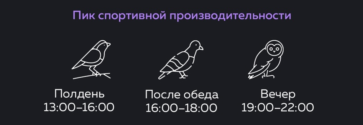 Про сон, сов, жаворонков и то, как наконец начать высыпаться - 4