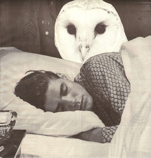 Про сон, сов, жаворонков и то, как наконец начать высыпаться - 5