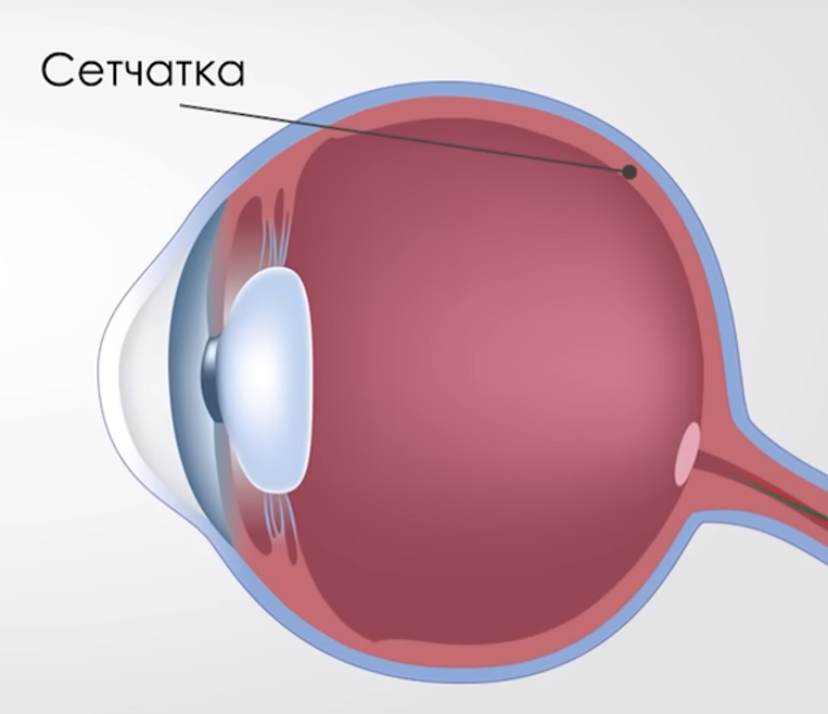 Гайд по зрению: здоровье глаз в цифровую эпоху - 3