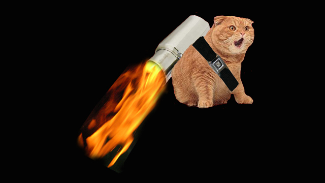 Что такое CDN и как она работает: объяснение на примере доставки котиков - 8