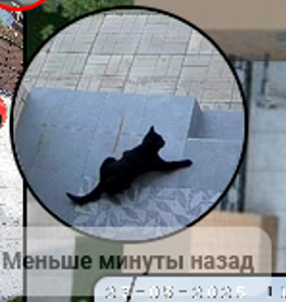 Я сделал тачпанель управления умным домом чтобы вам тоже пришлось - 26