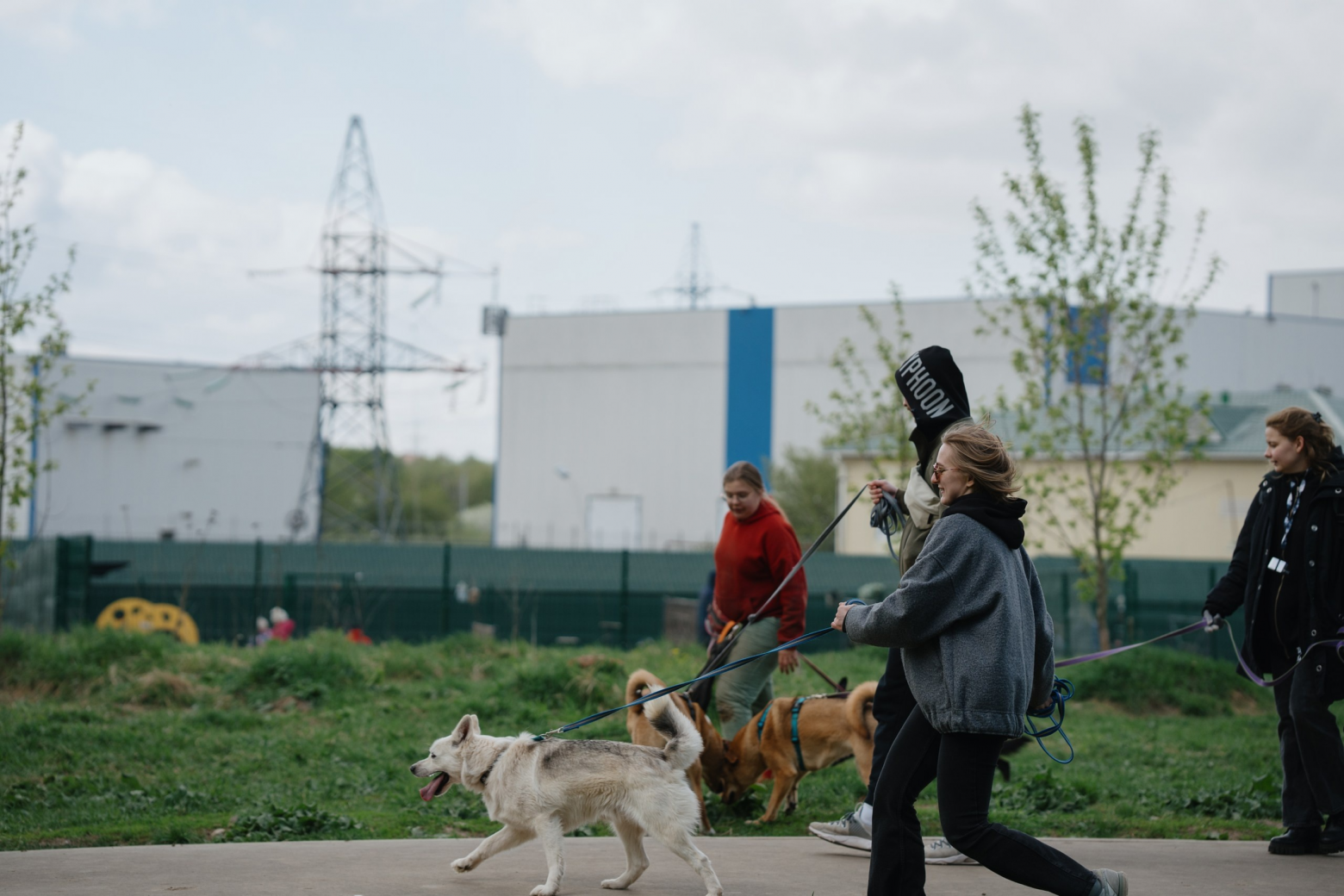Айтишники идут в лес: эксперты рассказали, зачем компаниям сажать сосны и причем тут ESG - 10