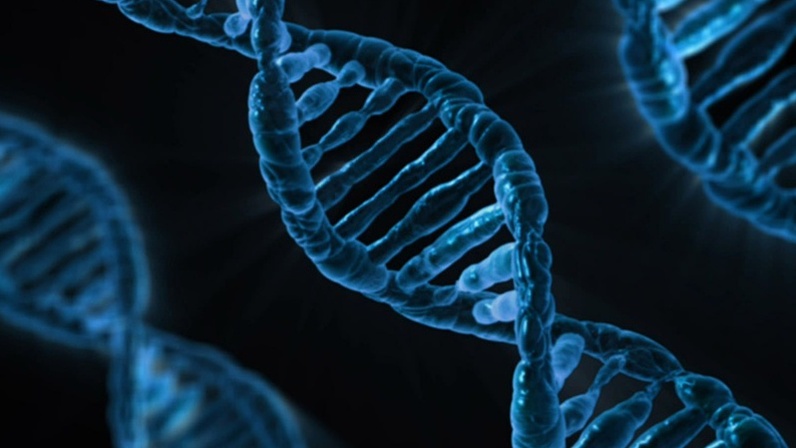 Как генная инженерия начала модифицировать людей и воскрешать виды, и куда мы движемся? - 1 Как генная инженерия начала модифицировать людей и воскрешать виды, и куда мы движемся? - 1