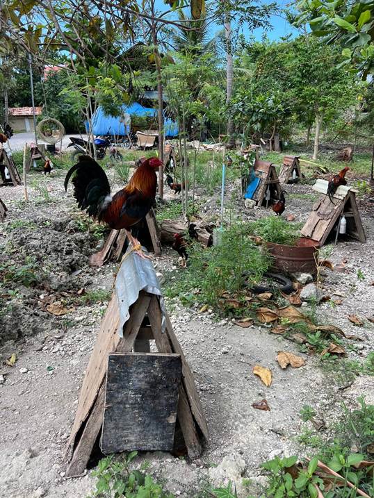 Пять островов, три недели и дюжина пересадок: как я открыл для себя Филиппины и что из этого получилось - 16 Пять островов, три недели и дюжина пересадок: как я открыл для себя Филиппины и что из этого получилось - 16