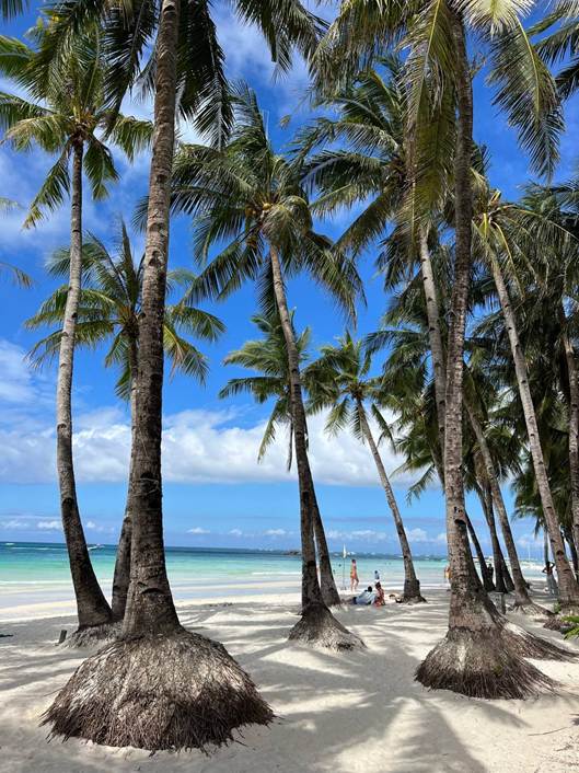 Пять островов, три недели и дюжина пересадок: как я открыл для себя Филиппины и что из этого получилось - 6 Пять островов, три недели и дюжина пересадок: как я открыл для себя Филиппины и что из этого получилось - 6