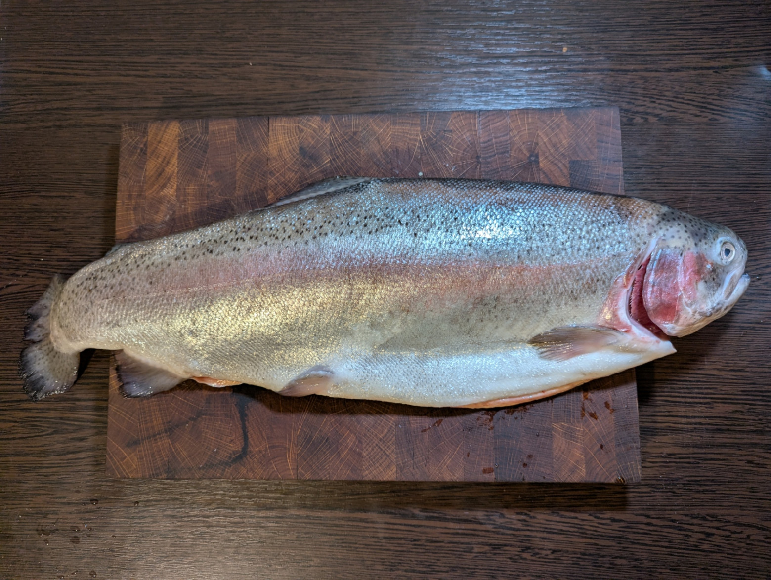 На фото реальная девушка Павла Дурова   