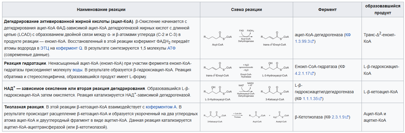Что на сегодня ясно про распад жира ( внутри человека ) - 3