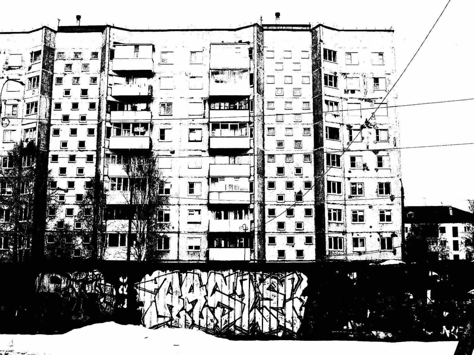 Цифровая чёрно-белая фотография - 18