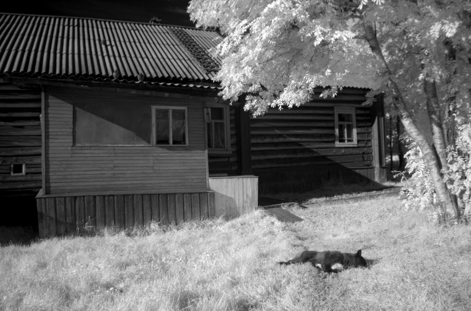 Цифровая чёрно-белая фотография - 23