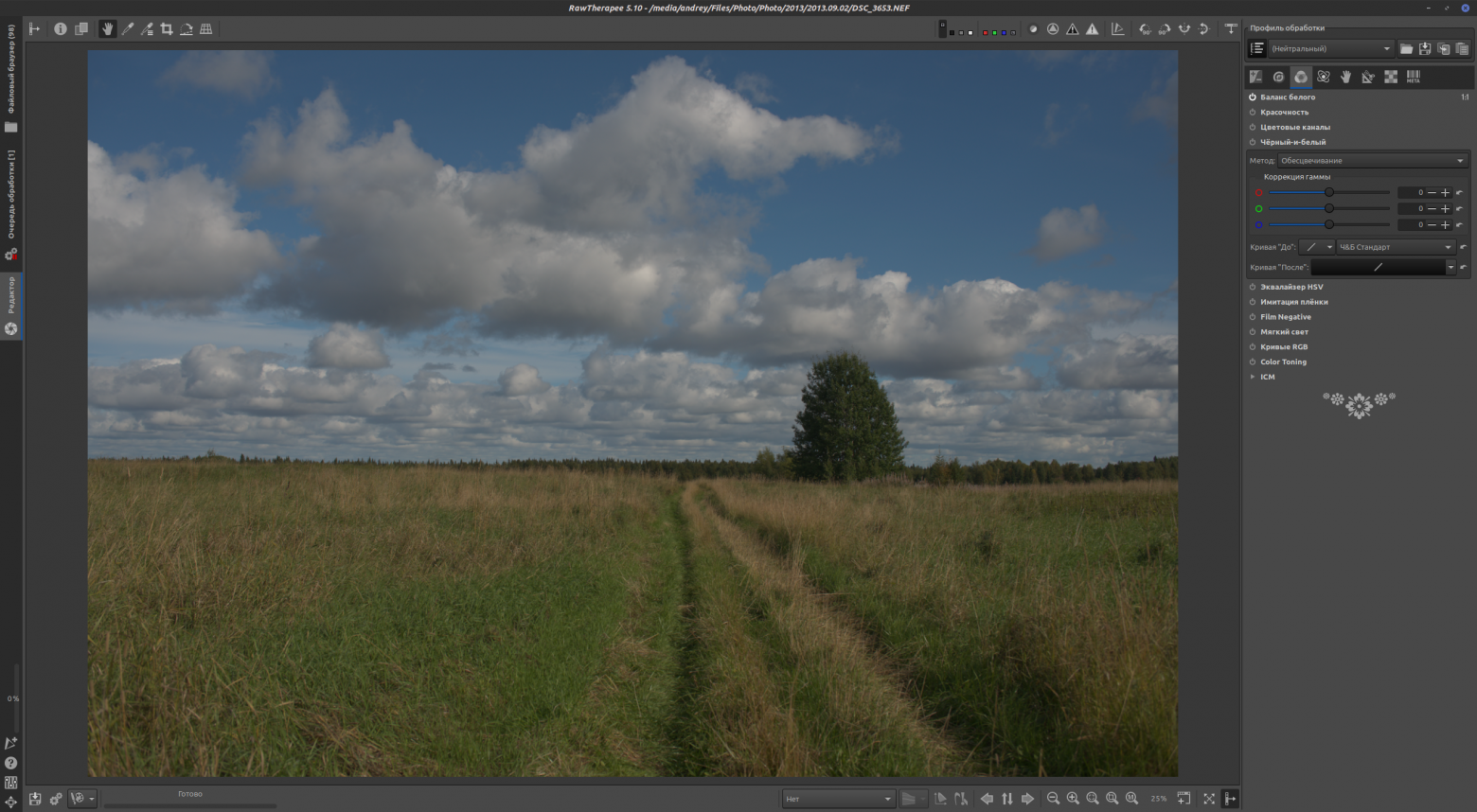 Цифровая чёрно-белая фотография - 30