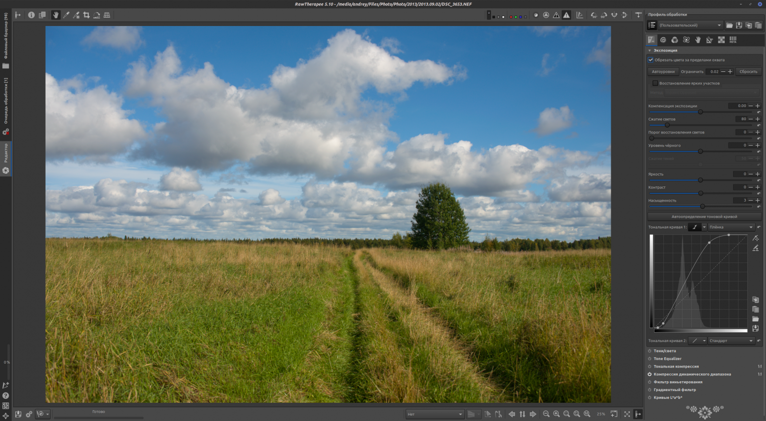 Цифровая чёрно-белая фотография - 31