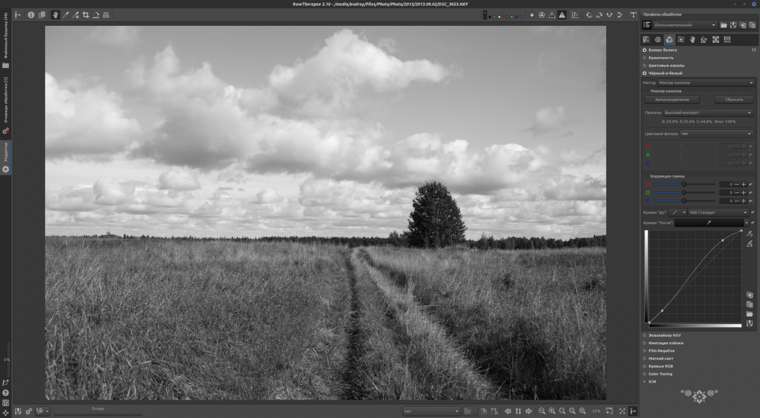 Цифровая чёрно-белая фотография - 32