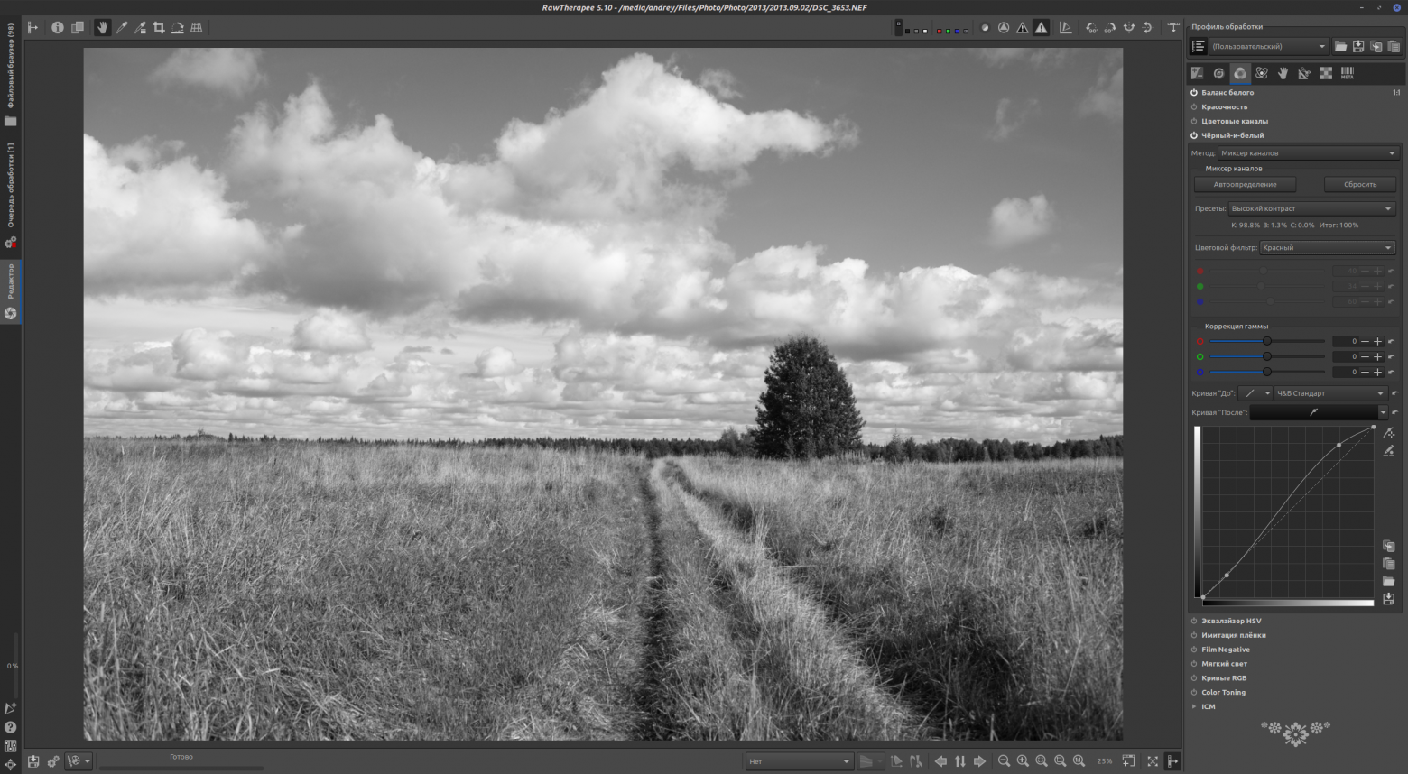 Цифровая чёрно-белая фотография - 33