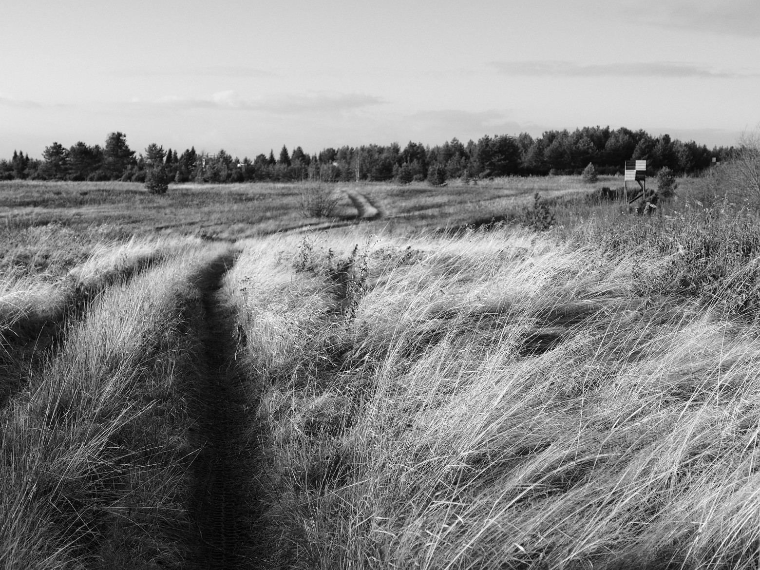 Цифровая чёрно-белая фотография - 37