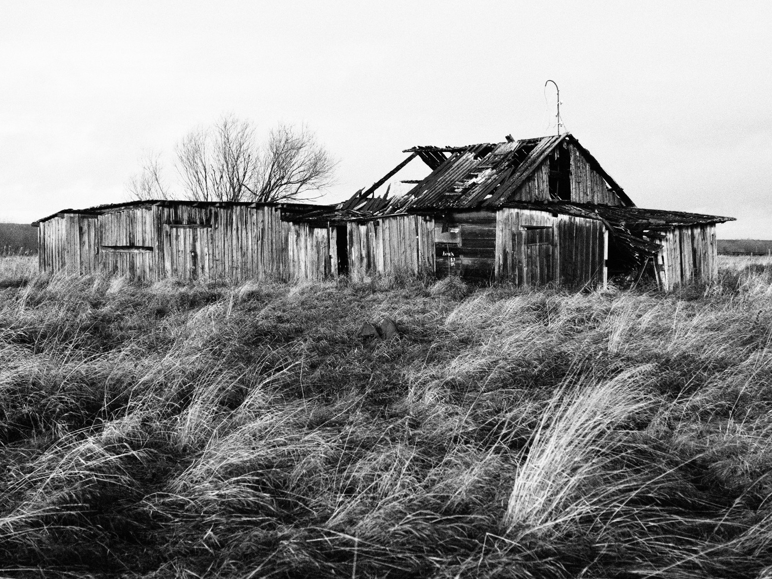 Цифровая чёрно-белая фотография - 6