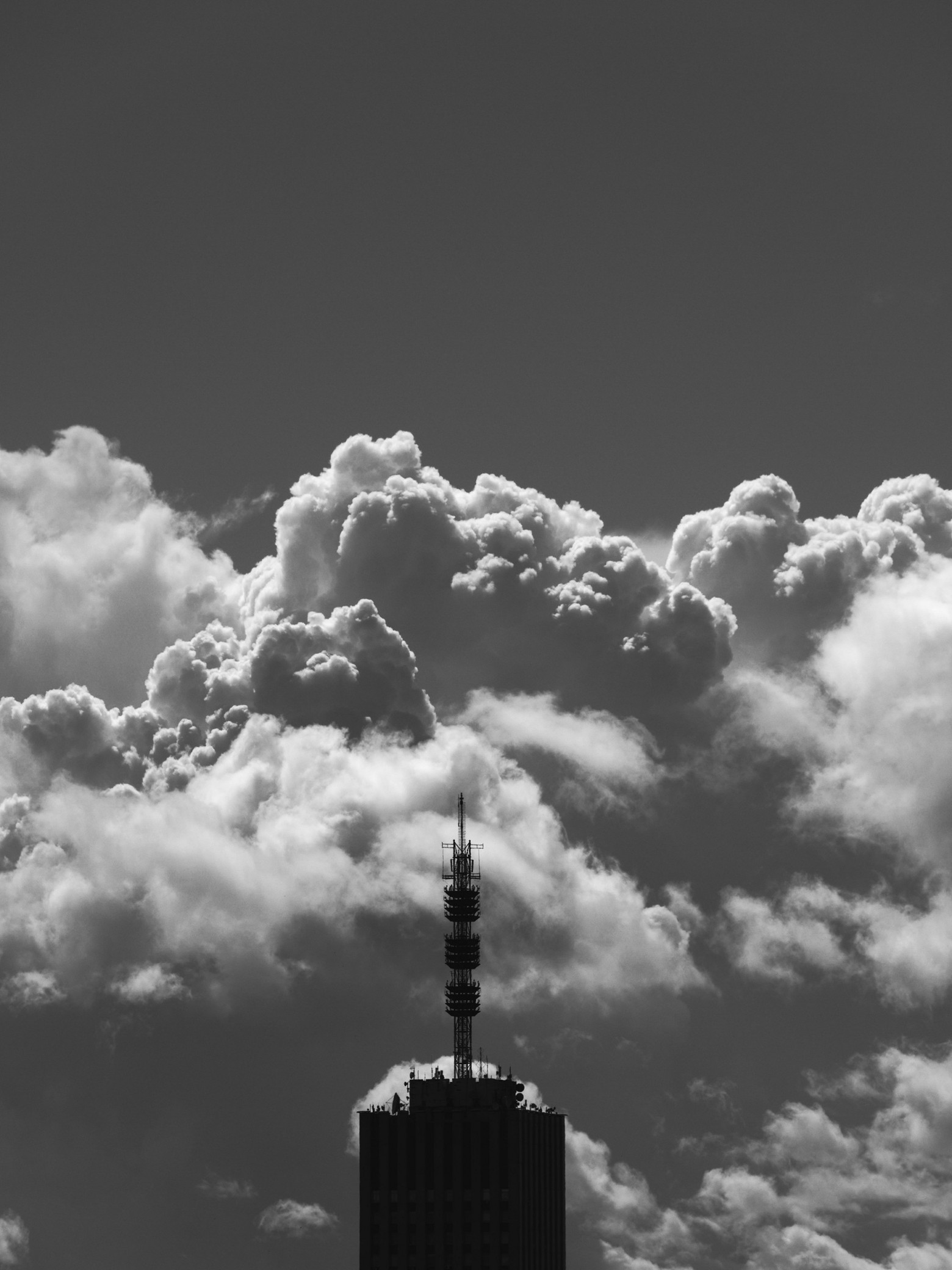 Цифровая чёрно-белая фотография - 7